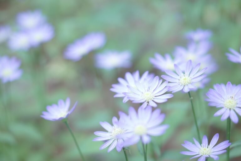 Review Pengguna Clashe Palazzo Jeans: Puas Hati Maksimum!