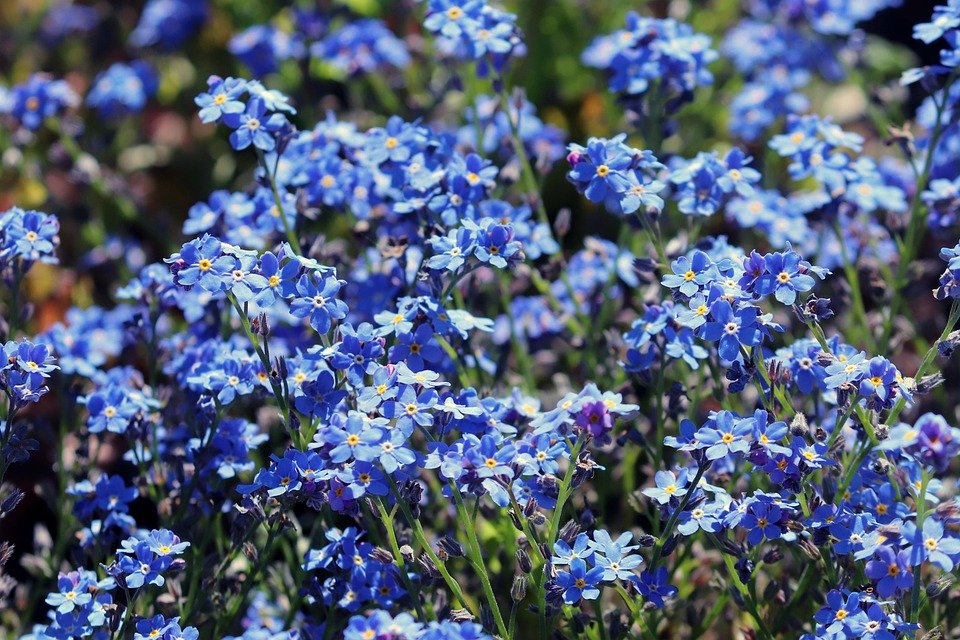 Jangan Biarkan Bau Kaki Memalukan Di Pejabat.