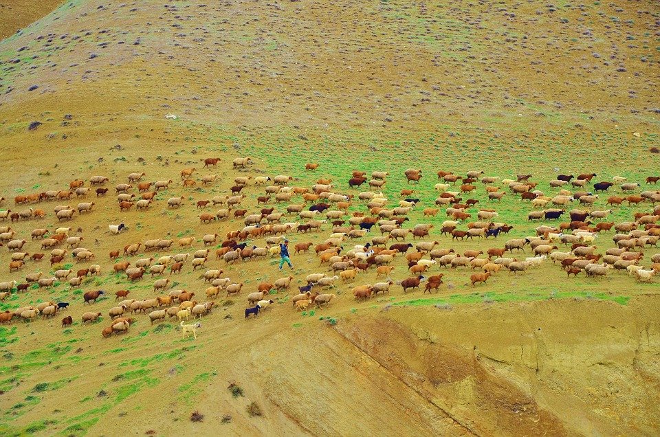 Dapatkan Diskaun Eksklusif Untuk Boya Raja Perfume Hari Ini!