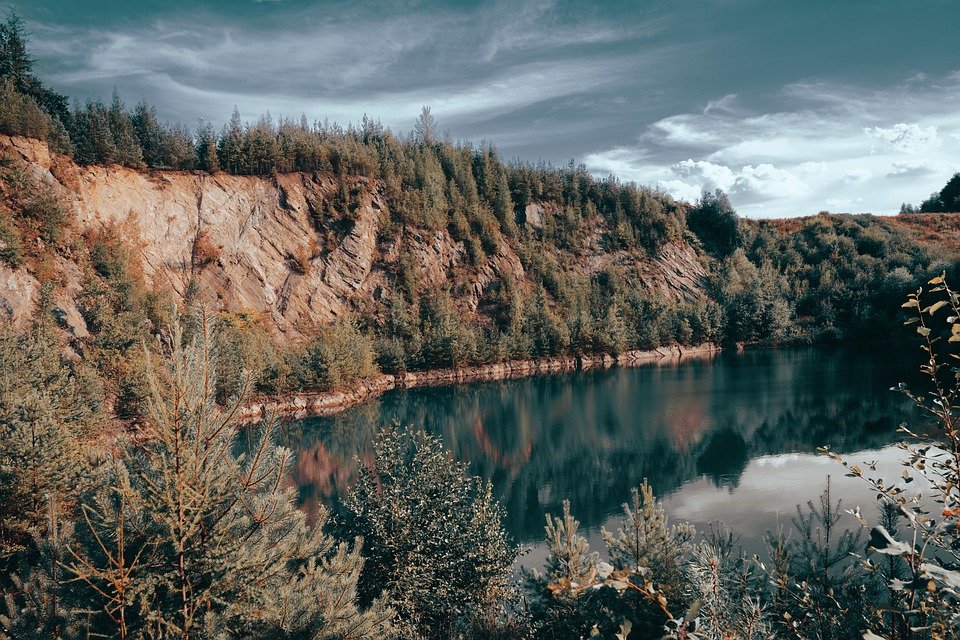 Bekas Beras Anti Serangga: Selamatkan Stok Beras Anda