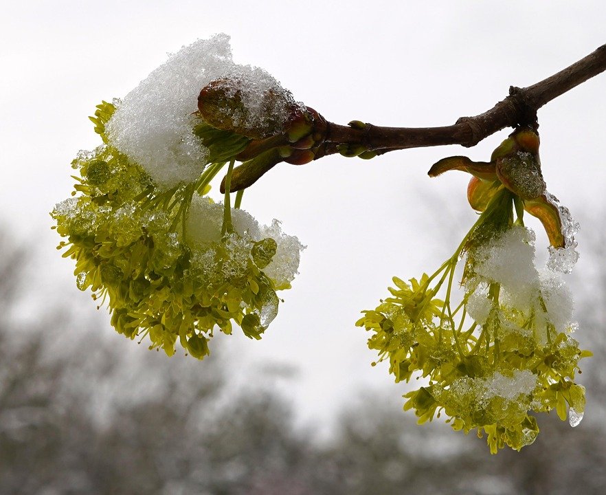 WTHB: Tilam Angin Portable Pilihan Pertama Untuk Backpacker.