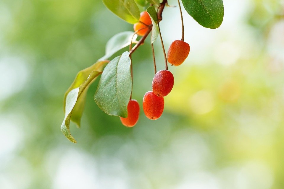 Diskaun Kaw-Kaw! Tilam Angin 5 Lapis WTHB Menanti Anda.