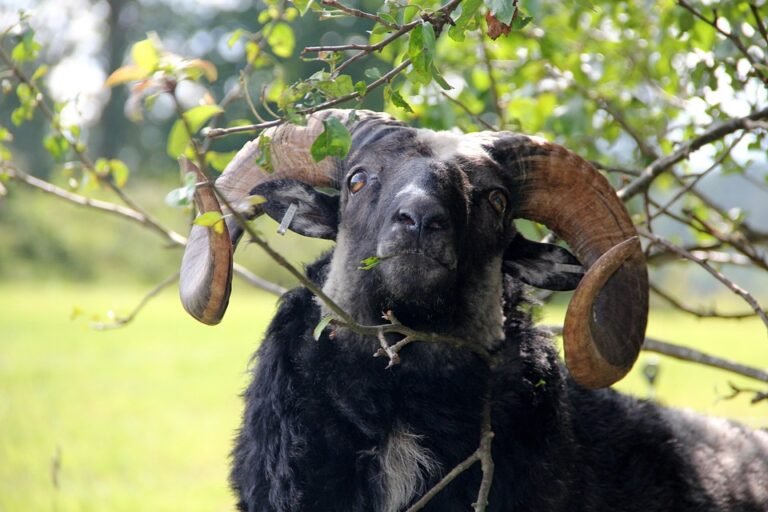 Dapatkan Bekas Beras Kalis Lembap untuk Penyimpanan Optimal