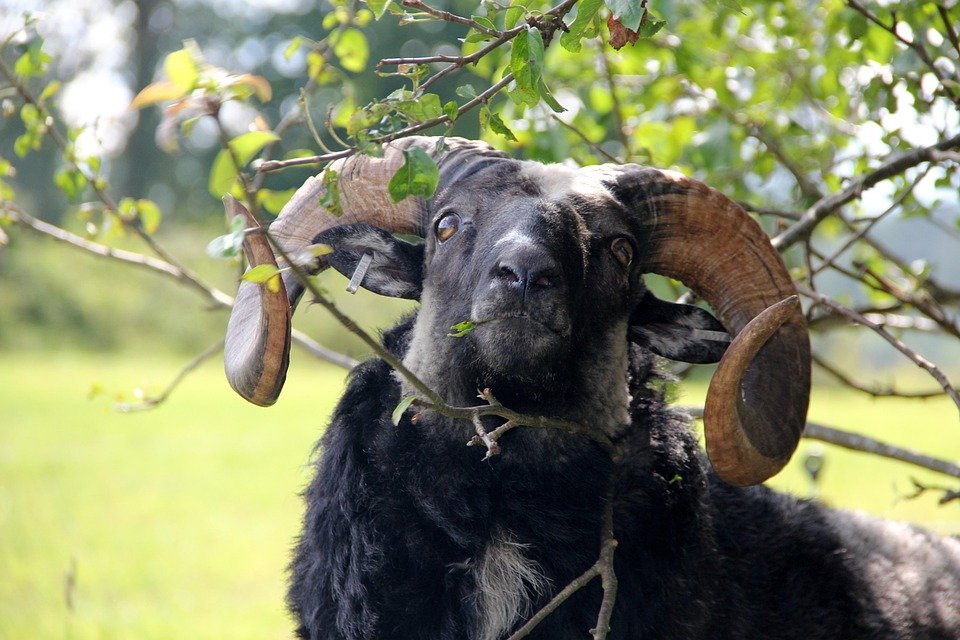 Dapatkan Bekas Beras Kalis Lembap untuk Penyimpanan Optimal