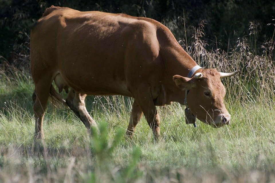 Baca Review Ini Dulu Sampai Habis!