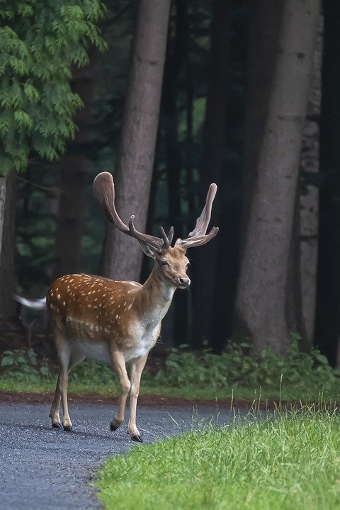 Dapatkan Set Baju Muslimah Zahra Ironless CEY Dengan Harga Terbaik Hari Ini!