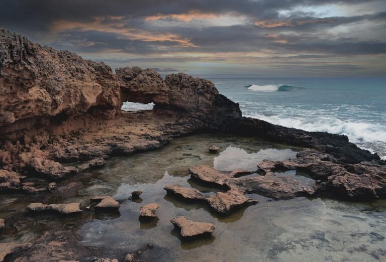 Kenapa Kasut Sekolah Hitam Ini Patut Ada Dalam Senarai Beli Anda