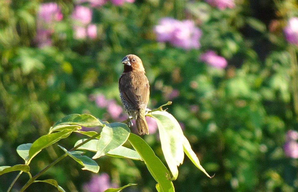 Mana Nak Cari Kasut Tapak Tebal Yang Anti-Slip Dan Stylish?