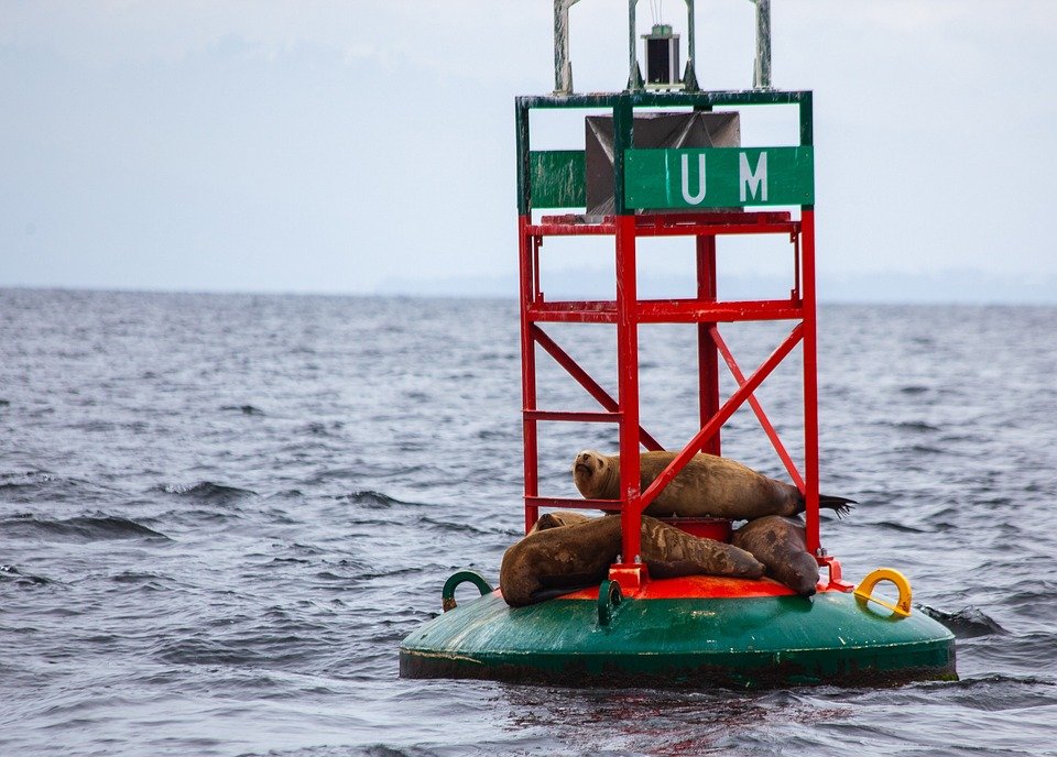 Boya Jate: Tingkatkan Karisma Dengan Setiap Semburan