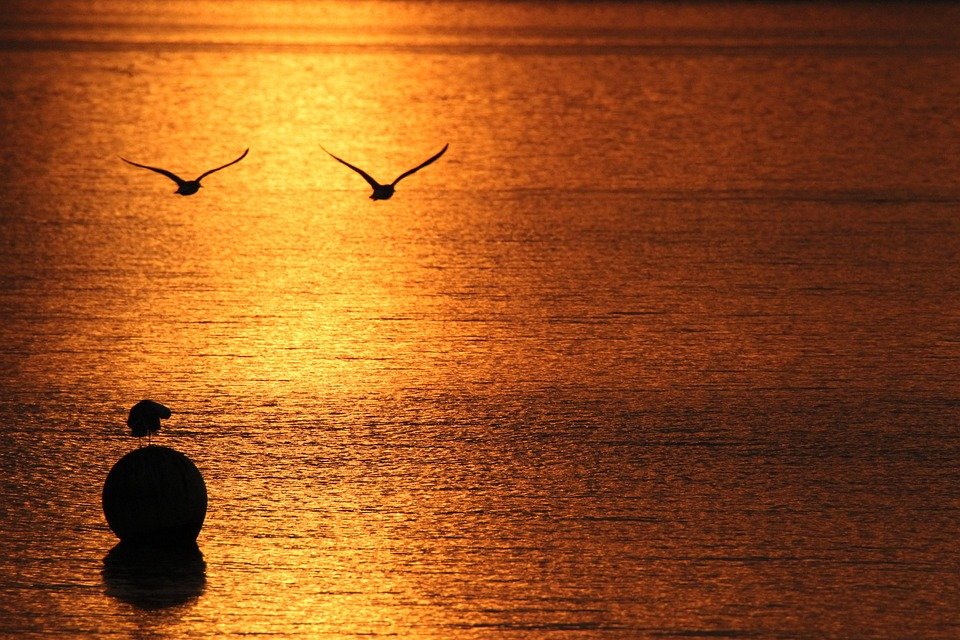 Boya Puteh: Perfume Yang Membuatkan Anda Sentiasa Segar