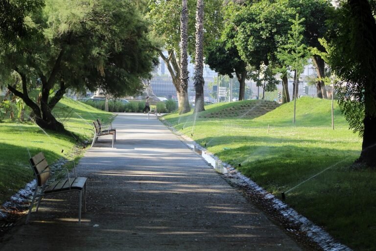 Mengapa Setiap Penjual Online Perlukan TIMOZIA A6?