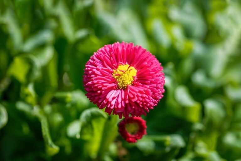 Beli PS5 Slim di Teslatech01: Harga Terbaik dan Ready Stock!