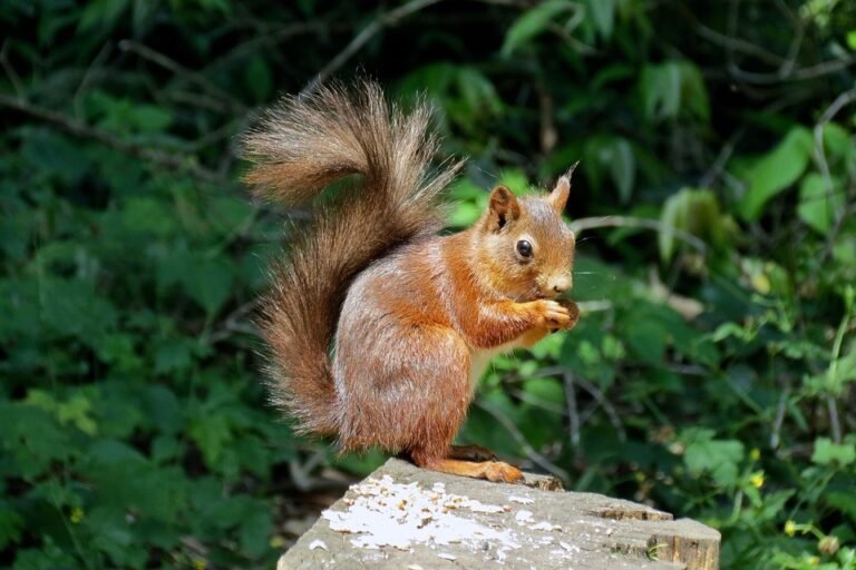 Mengapa Ramai Orang Memilih Kasut Bernafas Ini? Ketahui Sebabnya.
