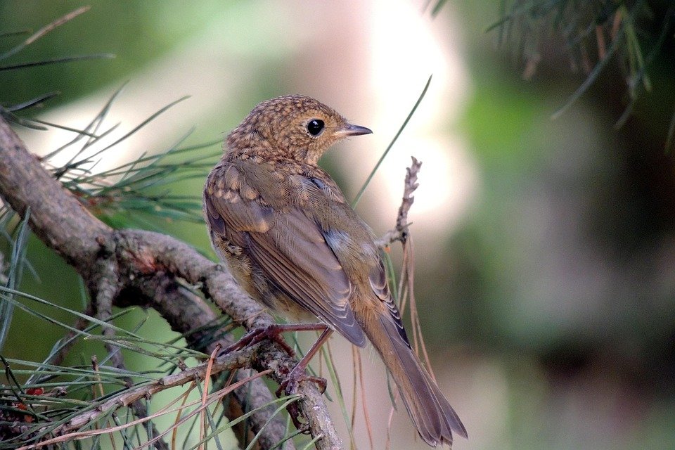 Mengapa Anda Harus Mencuba Spray Deodoran Kasut Ini?