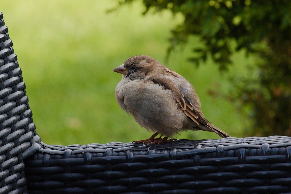 Mengapa Anda Perlu Cuba LONKOOM Noble EDP 100ml Hari Ini Juga?