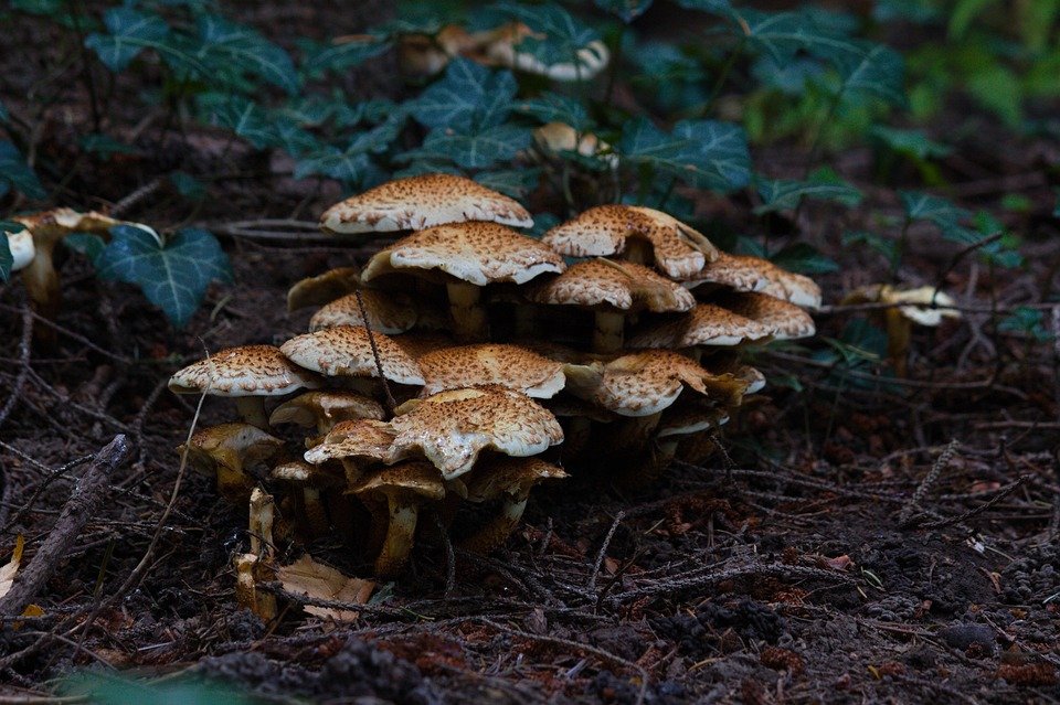 Mengapa Ramai Pilih ELGINI E16028 Seluar Track Slim-Fit? Ini Sebabnya!