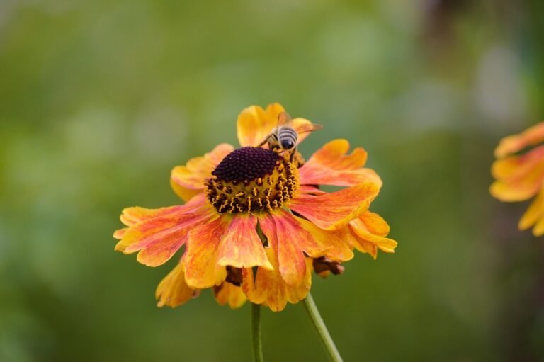 Mengapa Jersi Full Sublimation Ini Pilihan Atlet?