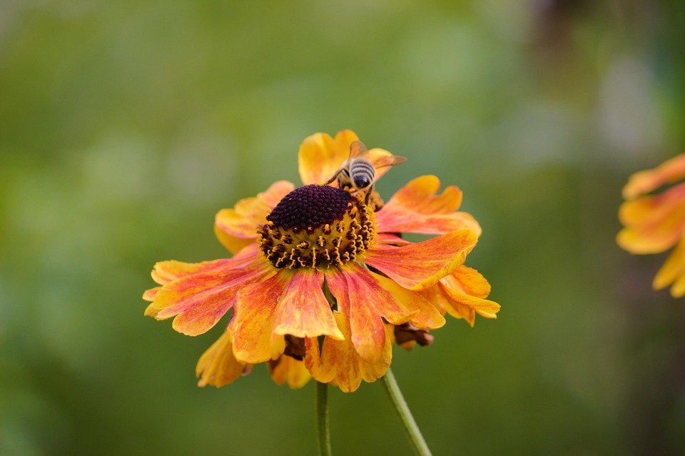 Mengapa Jersi Full Sublimation Ini Pilihan Atlet?