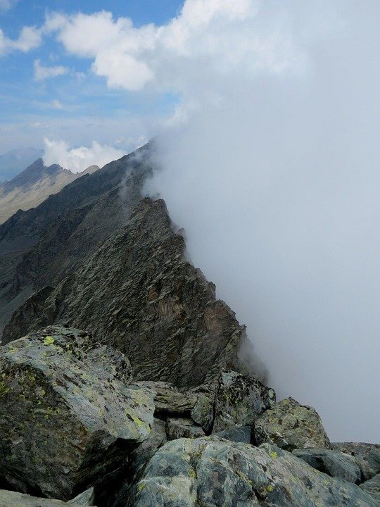 Tips Penyimpanan Beras Agar Lebih Tahan Lama dan Segar