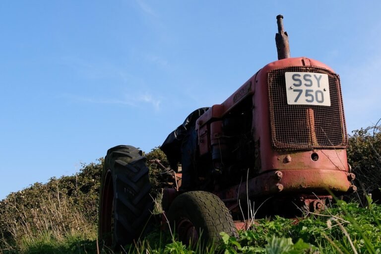 Bekas Beras Anti Serangga: Jangan Biar Kutu Beras Menular