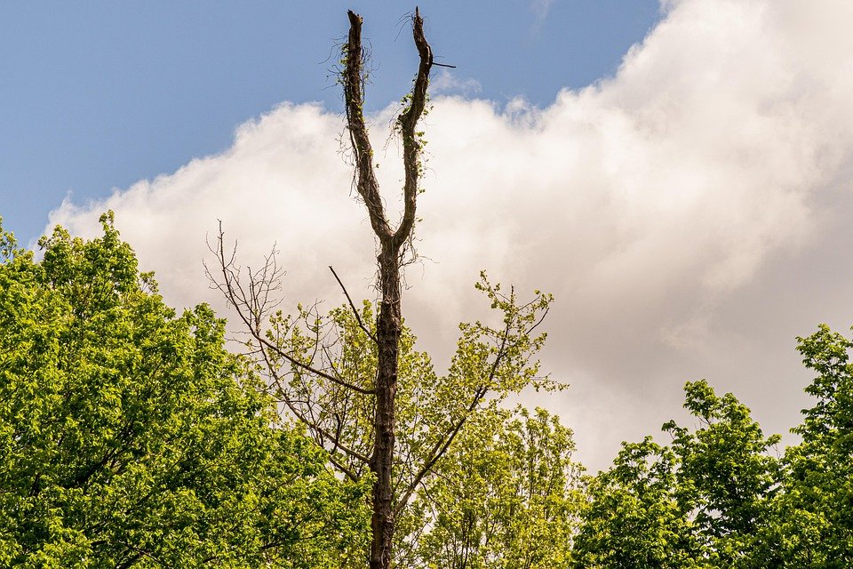 Anti-Bau Kasut Viral: Sesuai Untuk Semua Jenis Kasut.
