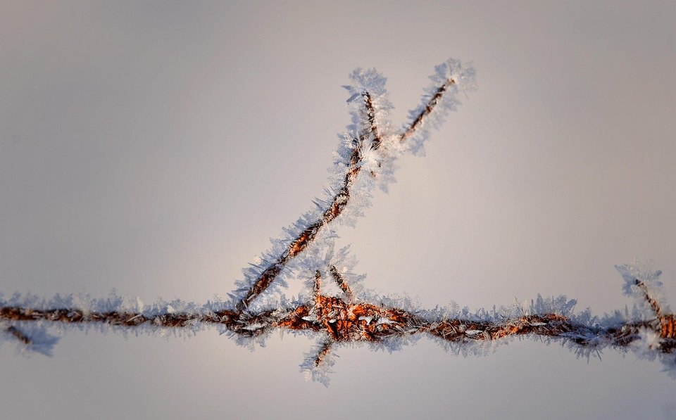 Tips Memilih Bekas Beras yang Selamat untuk Kesihatan