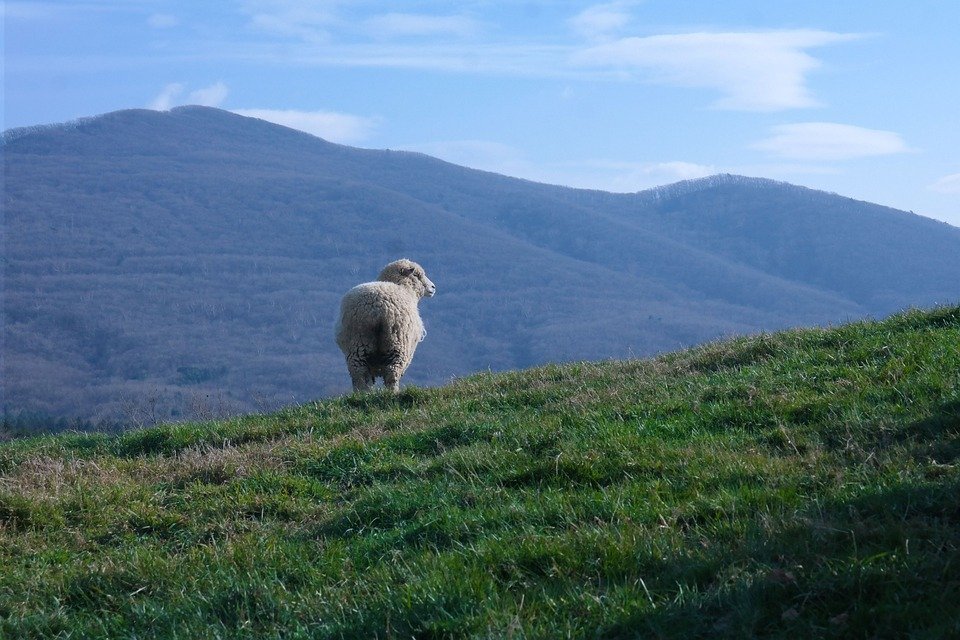 Keropok Lekor Gotel Vakum RM1: Snek Yang Akan Membuat Anda Terkesan.