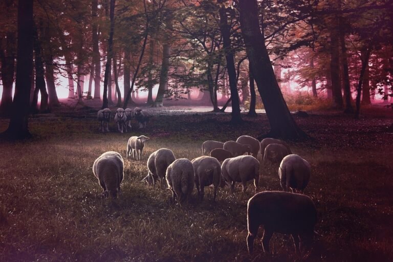 Keropok Lekor Gotel Vakum RM1: Snek Yang Paling Menyelerakan Sekali.