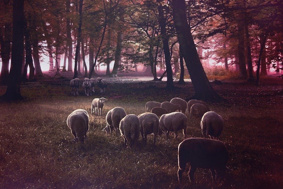 Keropok Lekor Gotel Vakum RM1: Snek Yang Paling Menyelerakan Sekali.