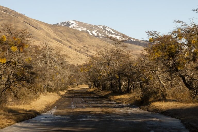 Kuali Masaki Honeycomb: Bukan Sekadar Kuali