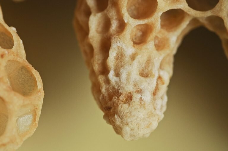 Cadar Queen Gaya MUJI: Sentuhan Minimalis Yang Elegan Untuk Bilik Tidur