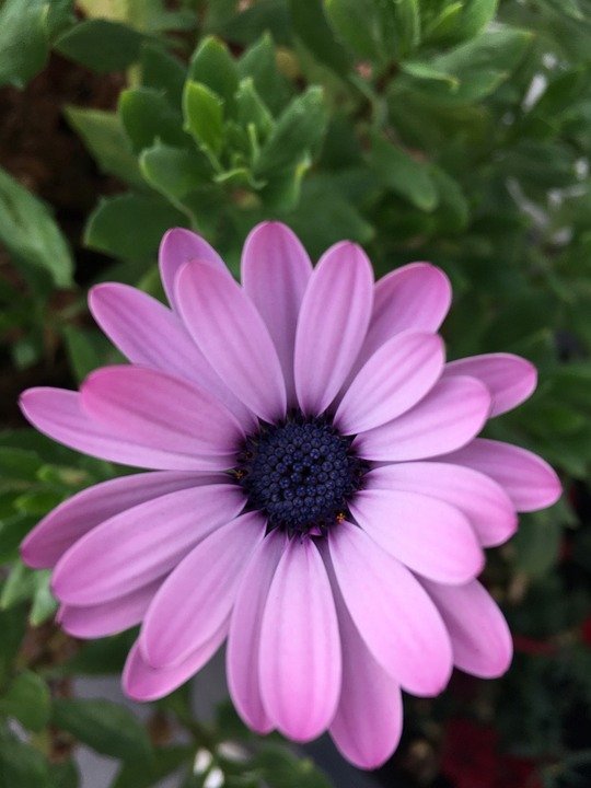 Glad2Glow Perfect Cover Cushion: Mekap Nampak Mahal Harga Mampu Milik.