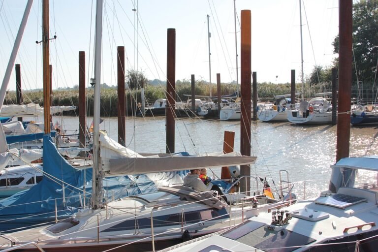 Semburan Kasut Yang Menyegarkan Dengan Bau Sakura.