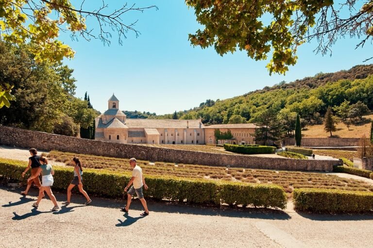 Terbukti Berkesan! ELGINI E16028 Seluar Track Slim-Fit Untuk Gaya Aktif Anda