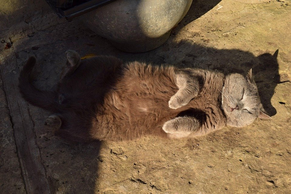 Keropok Lekor Gotel Vakum RM1: Snek Yang Paling Terkini Dan Wajib Dicuba.