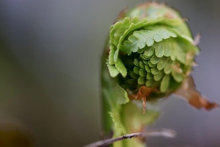 Tips Terbaik untuk Menjaga PS5 Slim 1TB Anda.