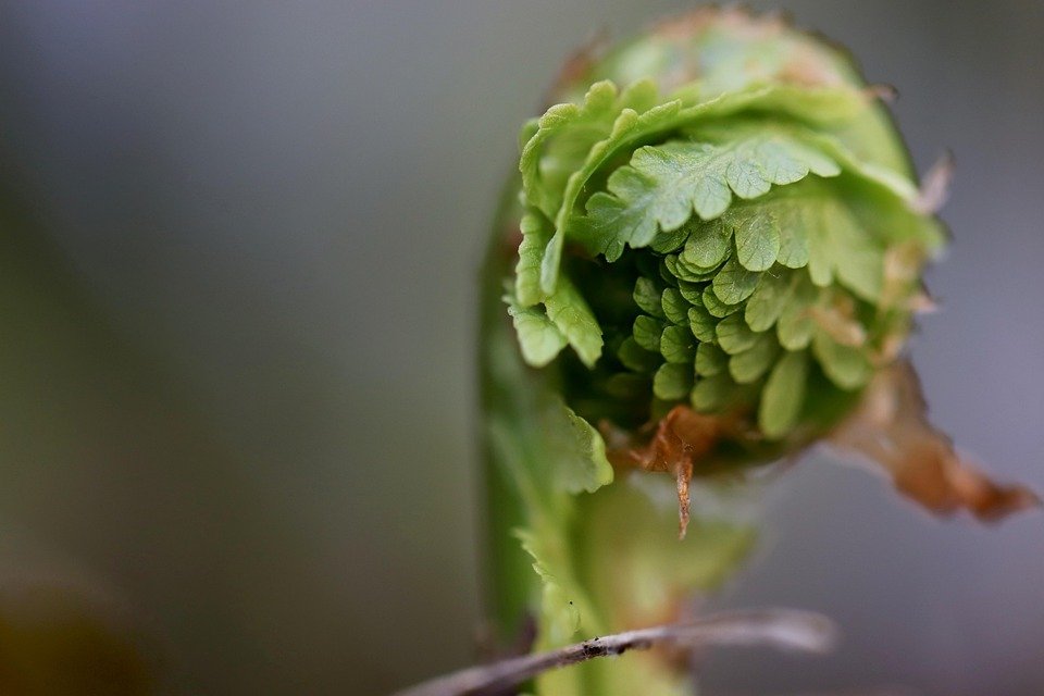 Tips Terbaik untuk Menjaga PS5 Slim 1TB Anda.
