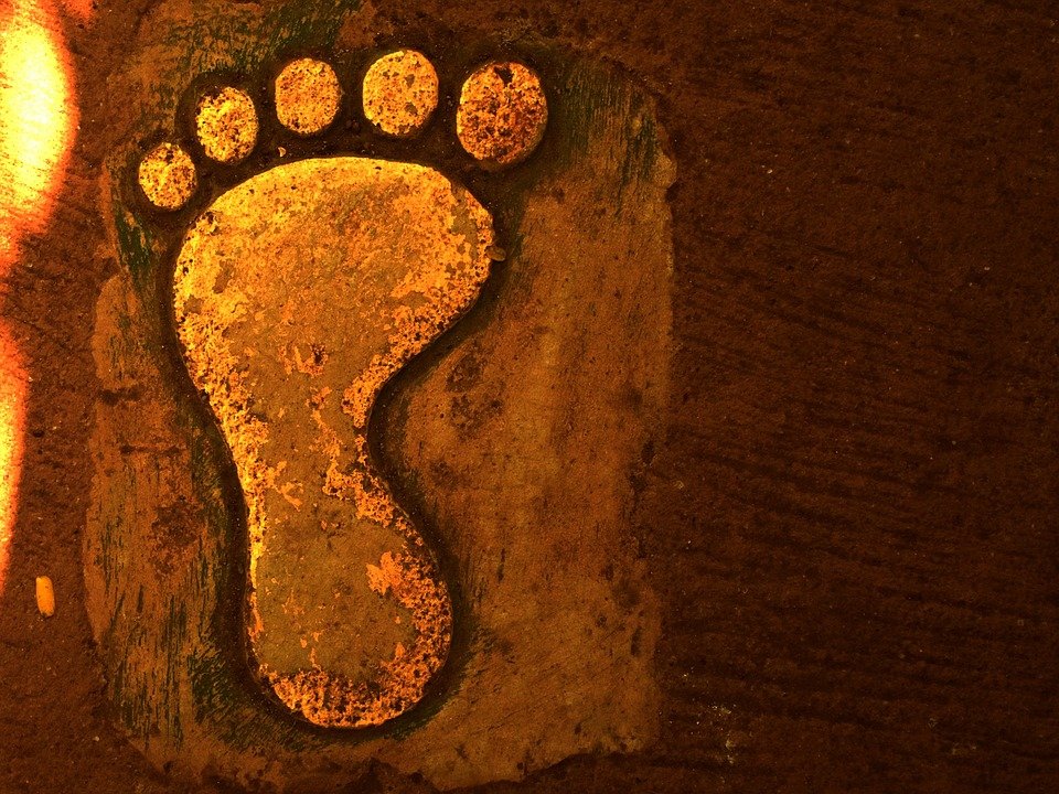 Anti-Bau Kasut Berkesan: Kekal Segar Sehingga 24 Jam.