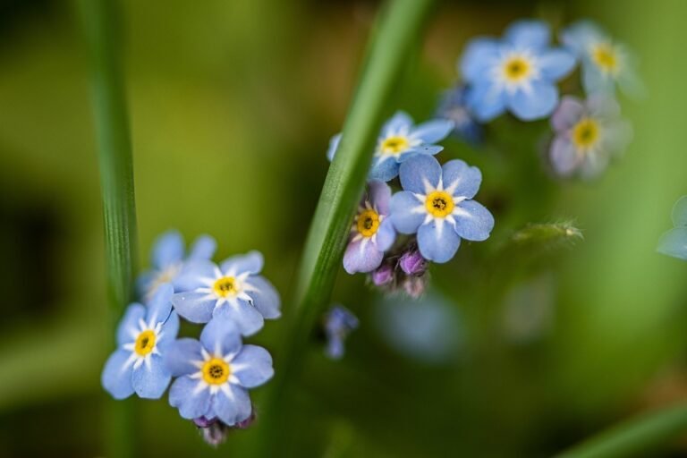Jangan Biarkan Harga Menipu Anda: Cadar Murah Adrian Tetap Berkualiti.