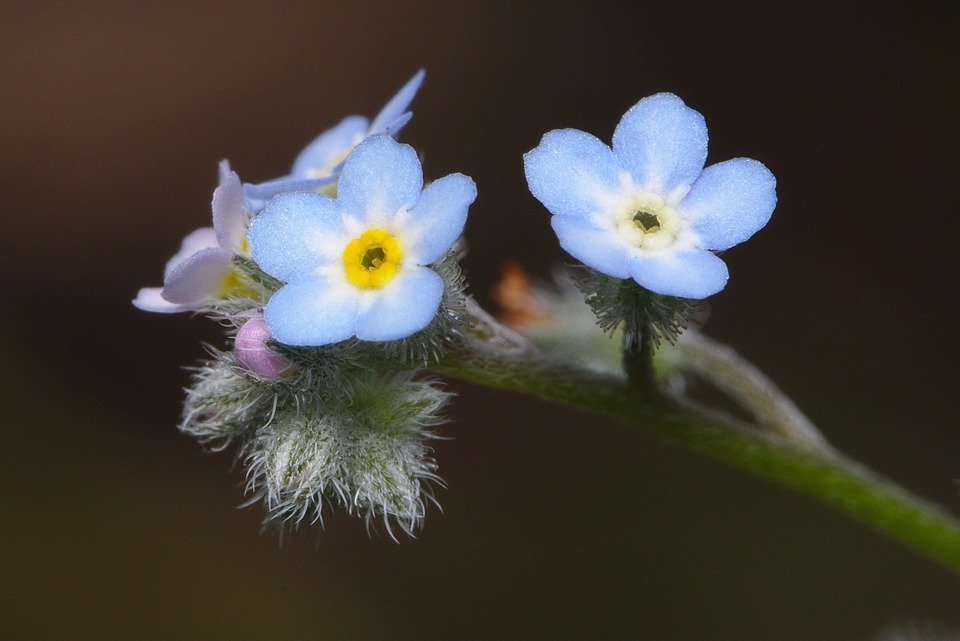 Jangan Biarkan Bau Kasut Menghalang Anda Dari Bersosial.