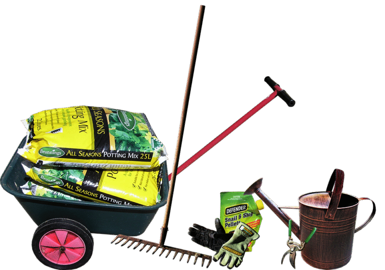 Dapatkan Keyakinan Sejak Pagi Dengan Kasut Yang Wangi.