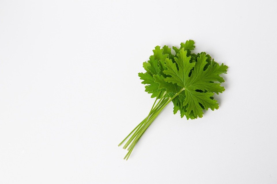 Rahsia Kasut Wangi Walau Tanpa Perlu Dijemur Lama.