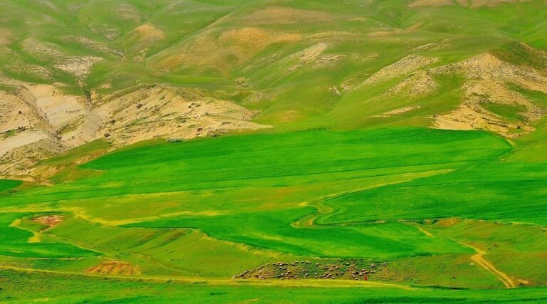 Dapatkan Penyimpan Beras Ini