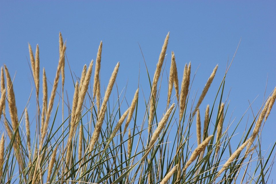 Semburan Kasut Untuk Ketenangan Fikiran & Hati.