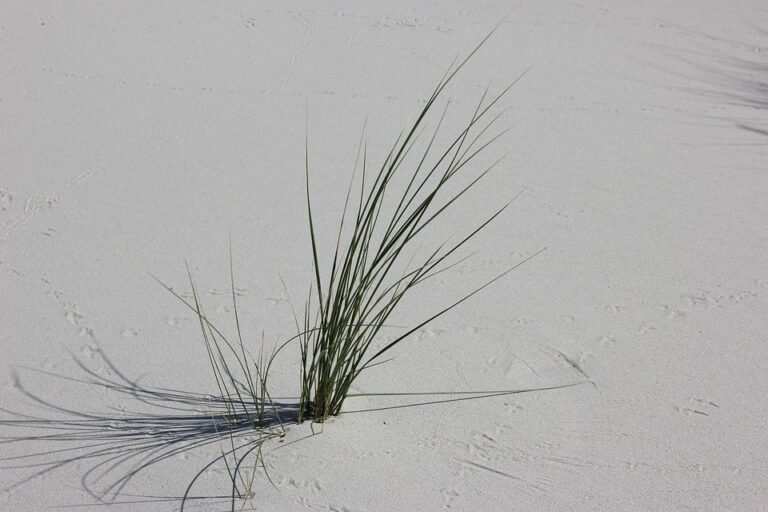 Semburan Kasut Untuk Hari Yang Lebih Ceria & Penuh Keyakinan.