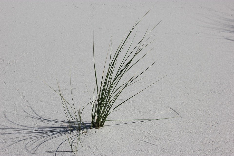 Semburan Kasut Untuk Hari Yang Lebih Ceria & Penuh Keyakinan.