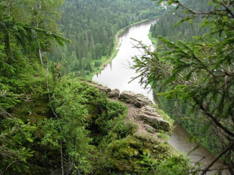 Review Jersi Retro Collar: Gaya Klasik Dalam Reka Bentuk Moden.