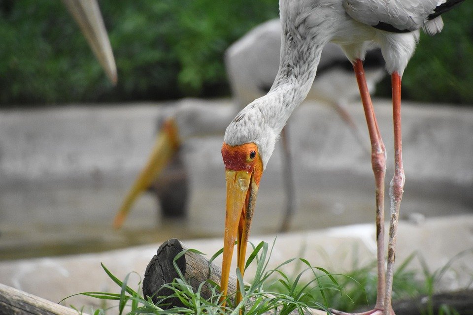 Tips Memilih Bedsheet B.S.B 2-in-1 Single Untuk Tidur Lena.