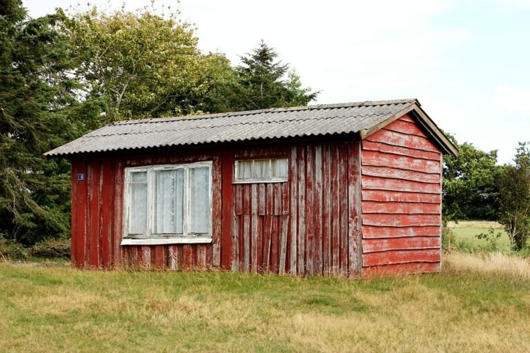 Semburan Kasut Yang Menyegarkan Dengan Bau Pudina.