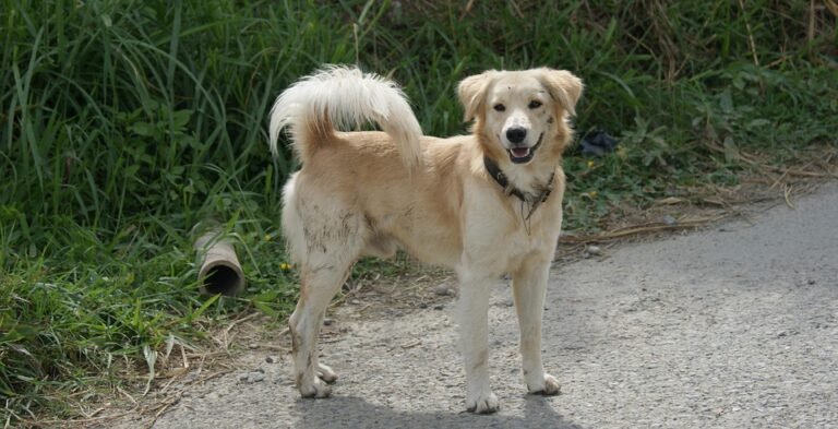 Dapatkan Kaki Bebas Bau & Berkeyakinan Tinggi.